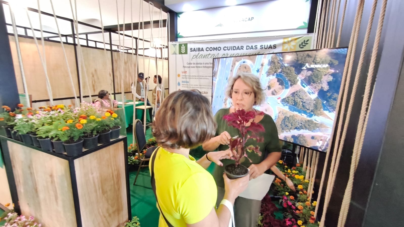 Estande da Novacap, na AgroBrasília, doa mudas de plantas para as pessoas que participarem da campanha Agasalho Solidário | Foto: Kiko Paz/Novacap