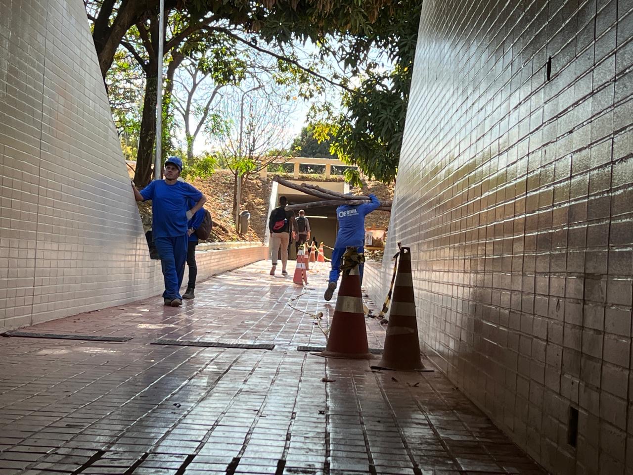 Projeto de revitalização teve início pela quadra 102 da Asa Sul | Foto: Thiago Henrique/Novacap